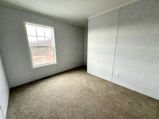 spare room with carpet and ornamental molding