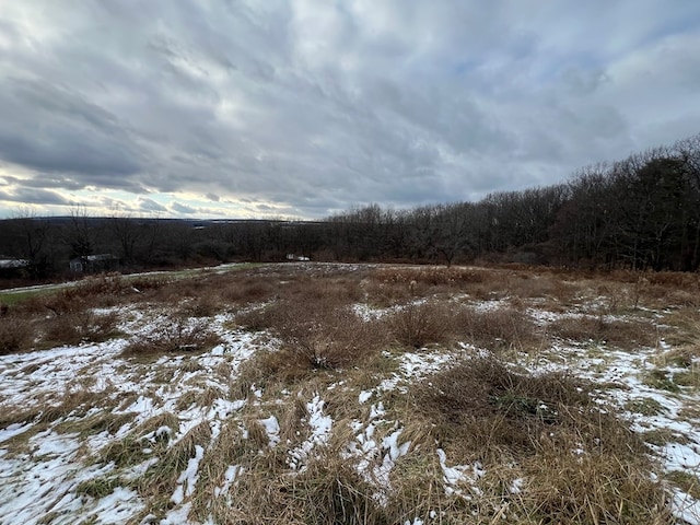 view of snow covered land