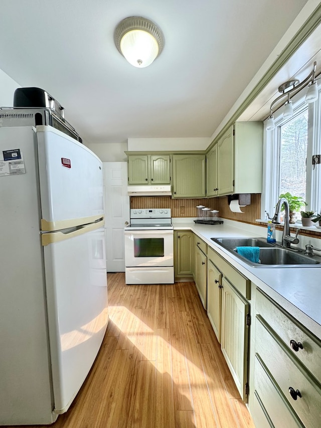 kitchen featuring sink, light hardwood / wood-style flooring, white appliances, and green cabinetry