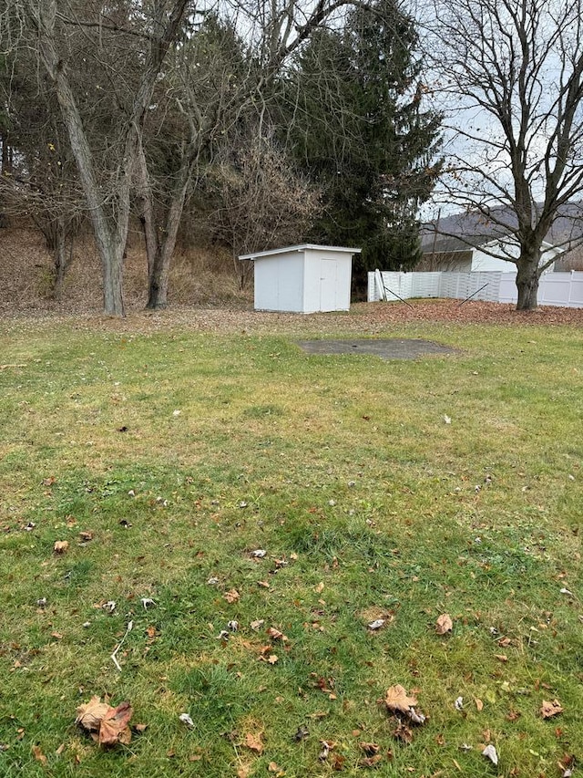 view of yard featuring a shed