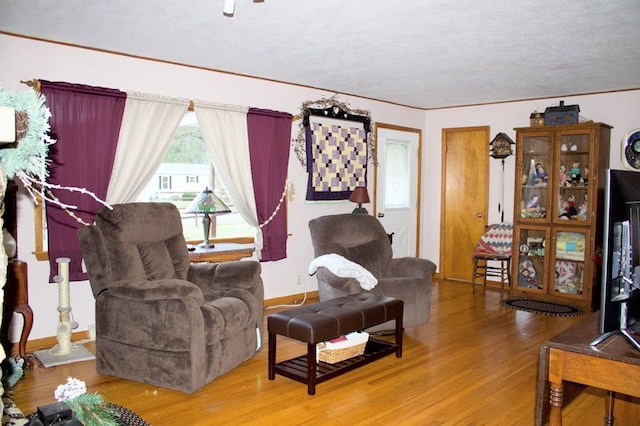 living room featuring hardwood / wood-style flooring and a textured ceiling