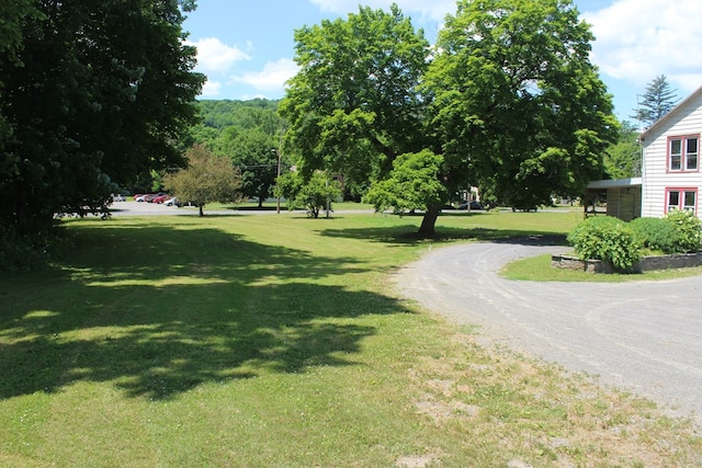 view of property's community featuring a yard