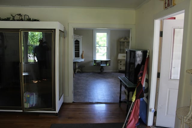 hall with crown molding and dark wood-type flooring