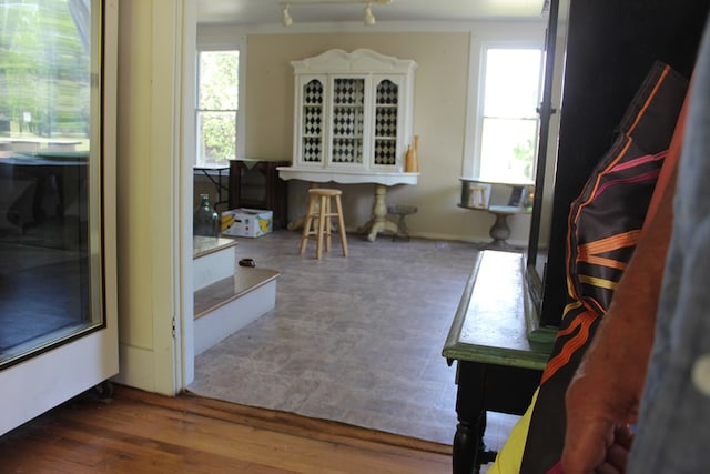 interior space with dark hardwood / wood-style floors