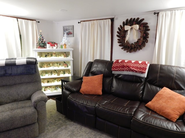 living room with carpet floors