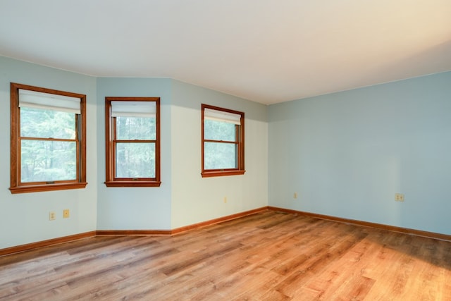 empty room featuring a wealth of natural light and light wood-type flooring