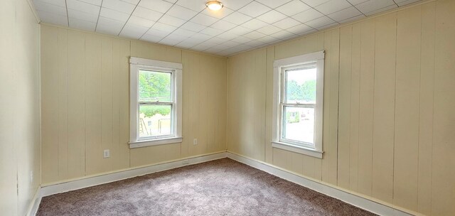 empty room with carpet, plenty of natural light, and wood walls