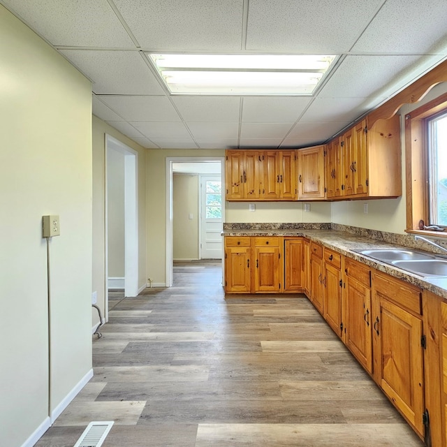 kitchen with light hardwood / wood-style floors, sink, and a wealth of natural light