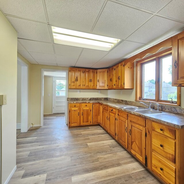 kitchen with sink, a wealth of natural light, and light hardwood / wood-style flooring