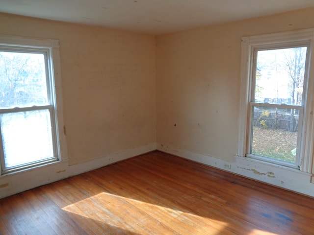 spare room featuring wood-type flooring