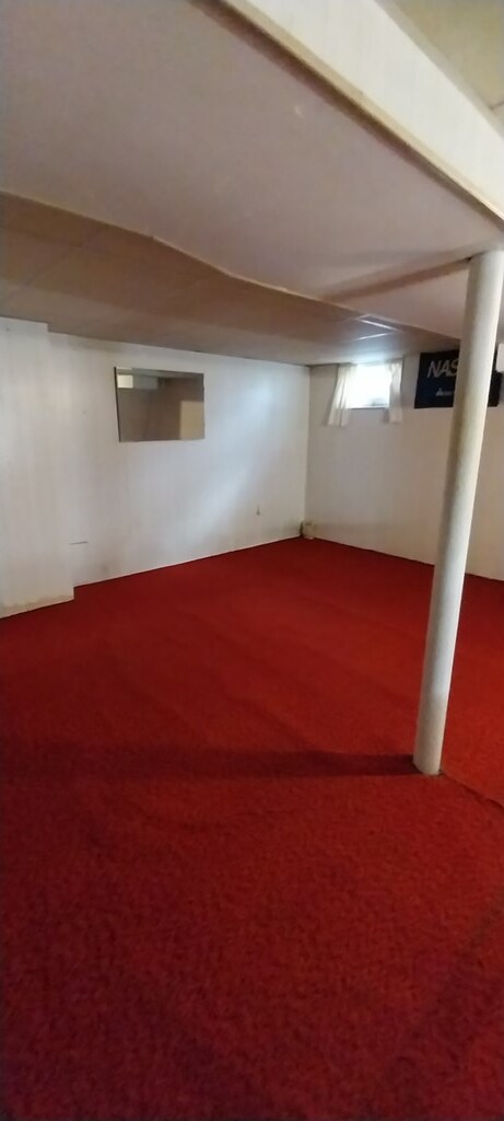 basement featuring carpet