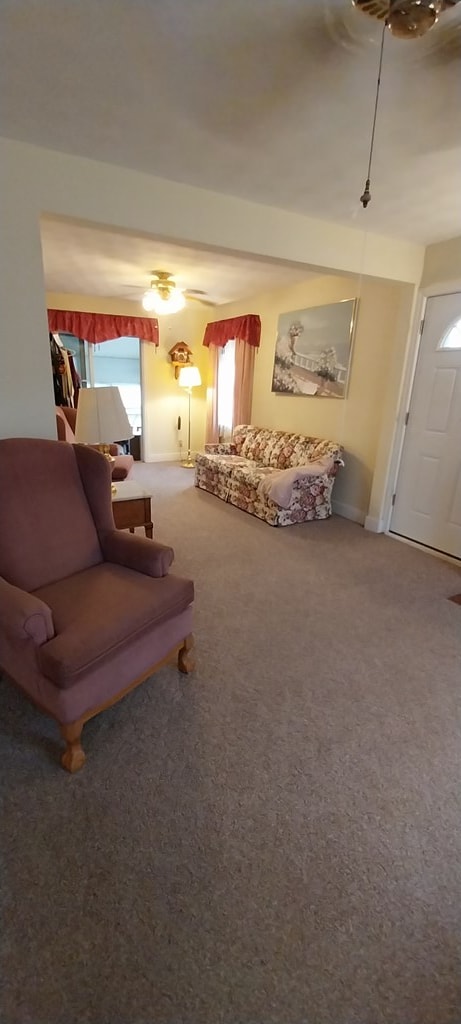 living room with carpet floors