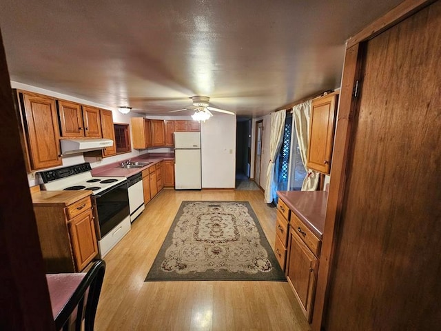 kitchen with white appliances, ceiling fan, sink, light hardwood / wood-style flooring, and range hood