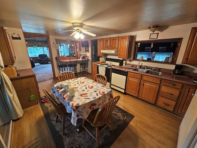 kitchen with ceiling fan, sink, light hardwood / wood-style floors, and white appliances