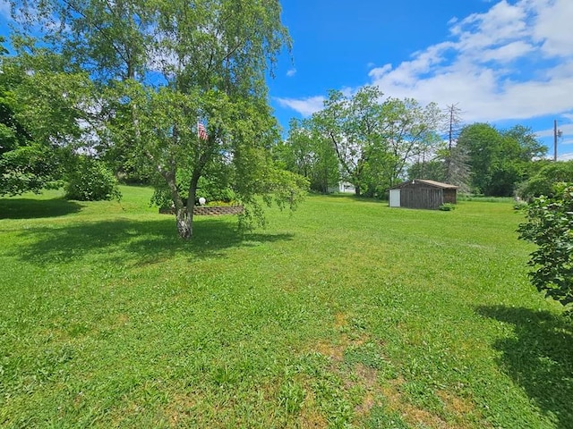 view of yard featuring an outdoor structure