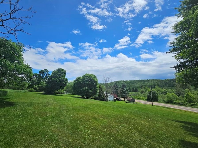 surrounding community featuring a yard