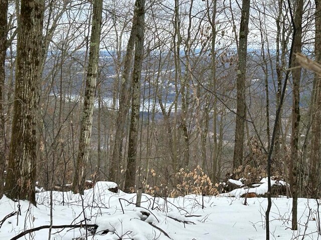 Listing photo 3 for 0 Mitchellsville Hill Rd, Hammondsport NY 14840