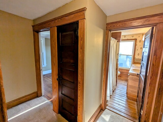 hall with light hardwood / wood-style flooring