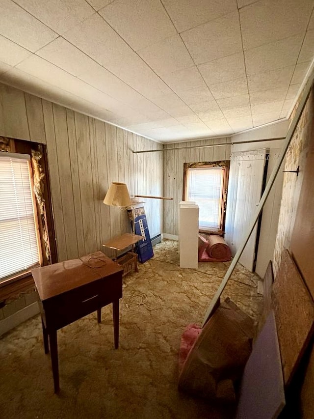 miscellaneous room featuring carpet flooring