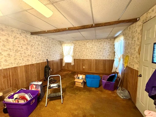 basement with carpet flooring, a paneled ceiling, and a wealth of natural light