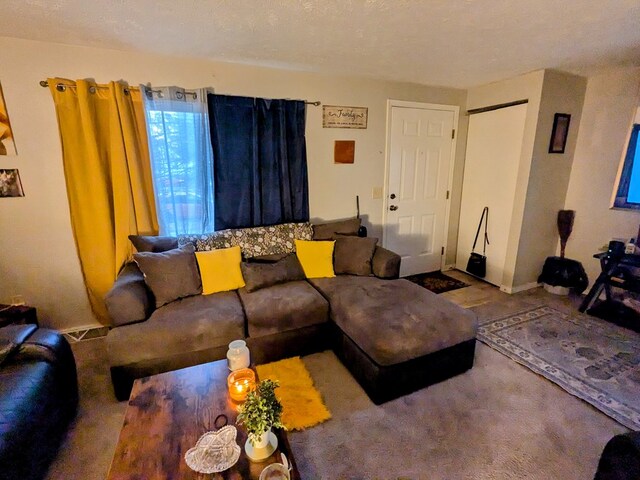 living room featuring a textured ceiling