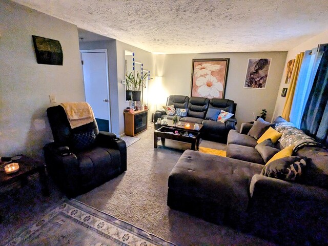 carpeted living room with a textured ceiling