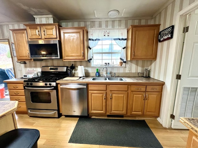 kitchen with a wealth of natural light, sink, stainless steel appliances, and light hardwood / wood-style floors