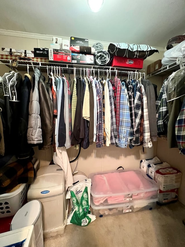 spacious closet with carpet flooring