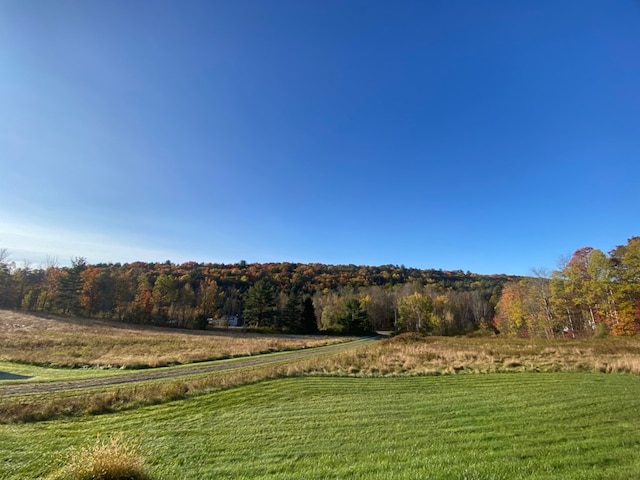 view of yard featuring a rural view