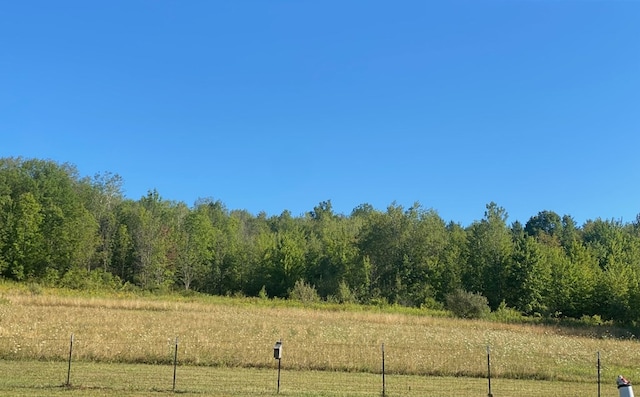 view of yard featuring a rural view