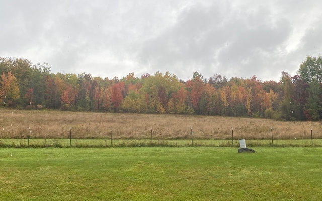 view of yard featuring a rural view