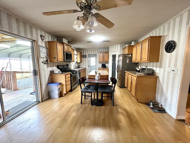 kitchen with light wood-type flooring, stainless steel appliances, and a wealth of natural light