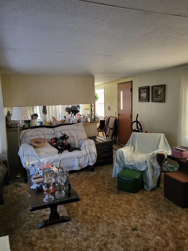 interior space featuring carpet and a textured ceiling