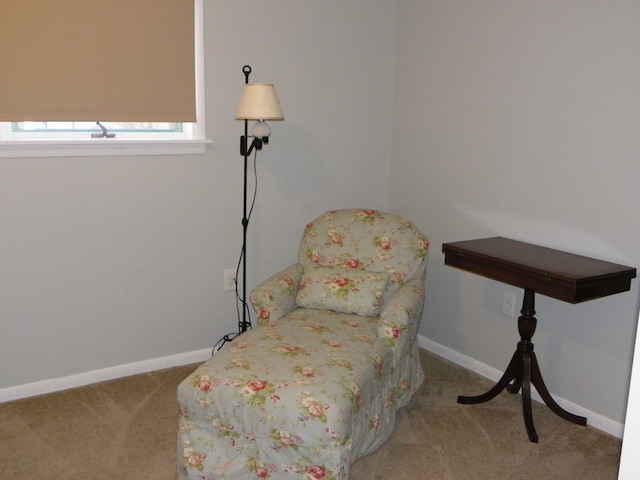 living area with carpet flooring