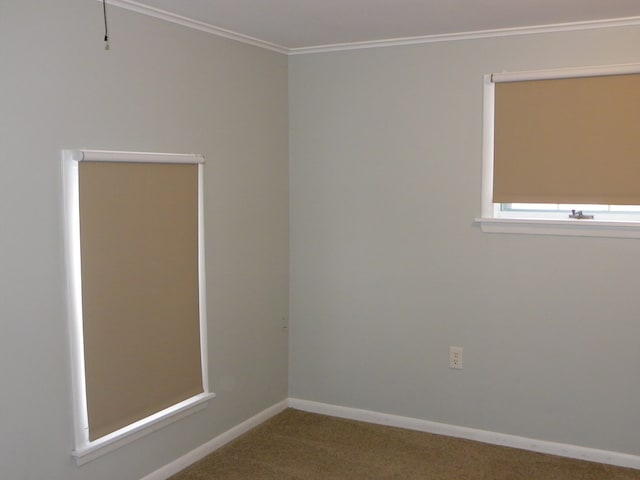 carpeted spare room featuring crown molding