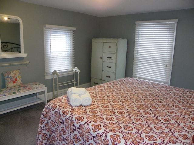 bedroom featuring multiple windows