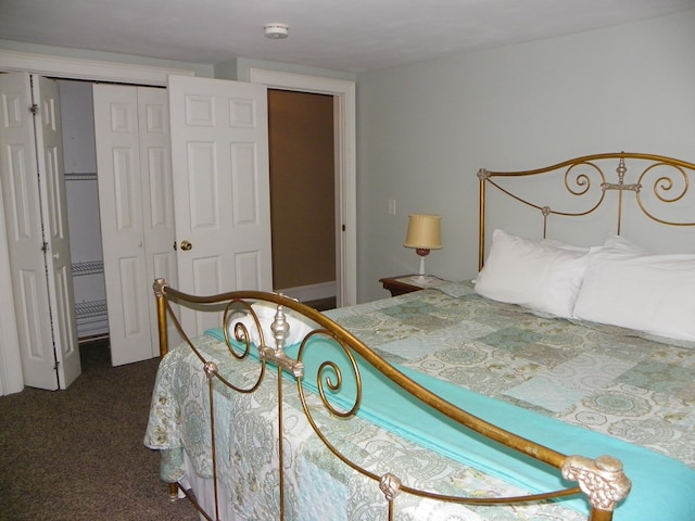 bedroom featuring carpet and a closet