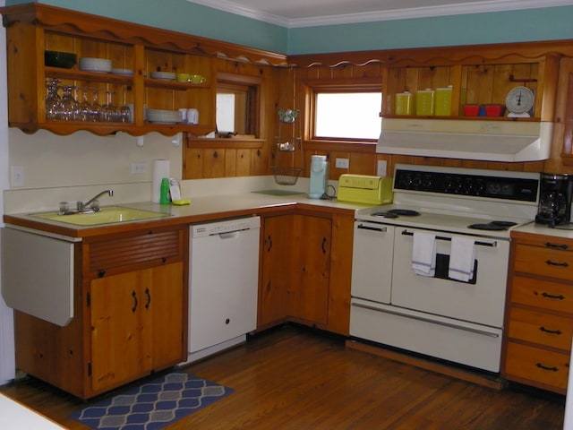 kitchen with sink, dark hardwood / wood-style floors, white appliances, exhaust hood, and ornamental molding