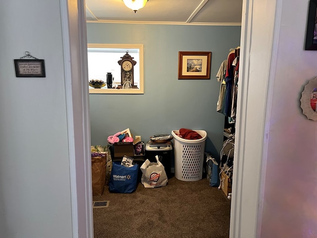 walk in closet with carpet floors