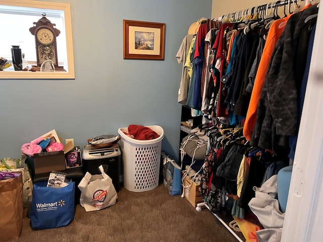 spacious closet featuring carpet flooring