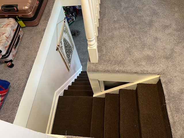 stairs featuring carpet flooring