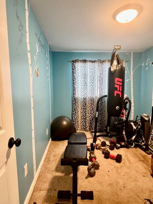 workout room featuring carpet floors