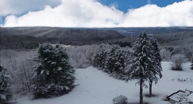 property view of mountains