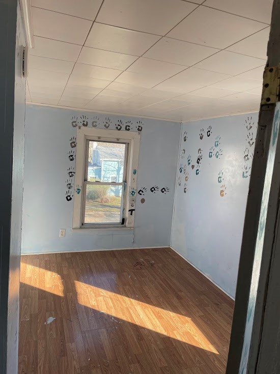 spare room featuring wood-type flooring