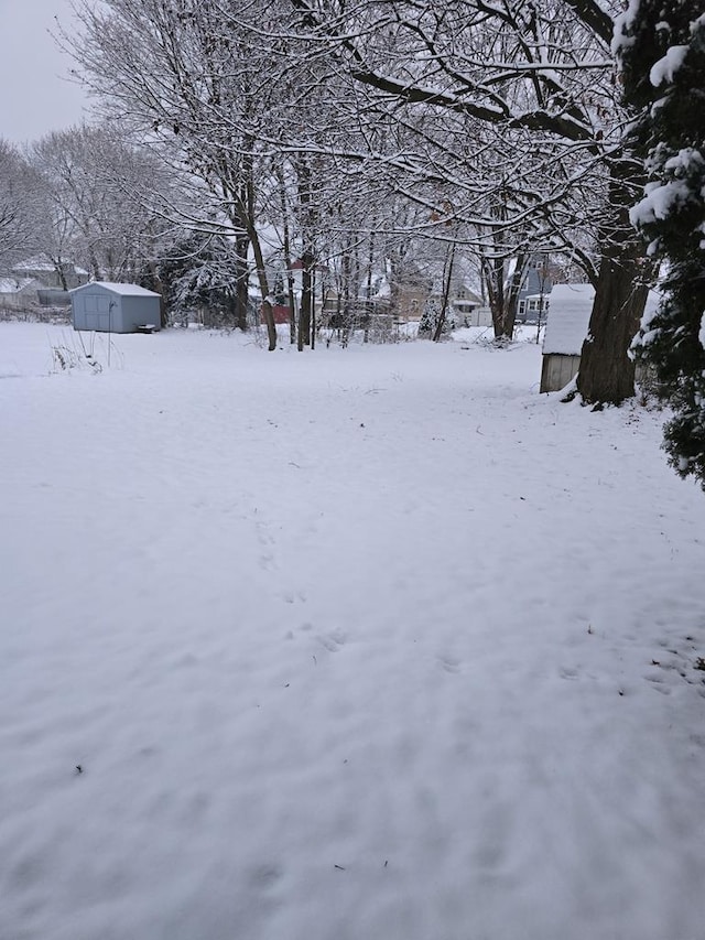 yard covered in snow featuring an outbuilding