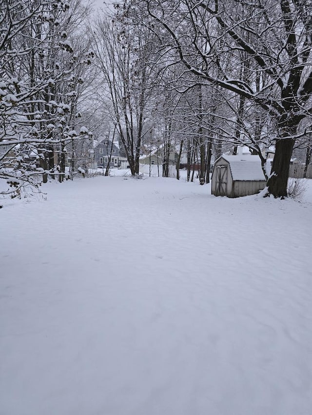 yard covered in snow featuring an outdoor structure