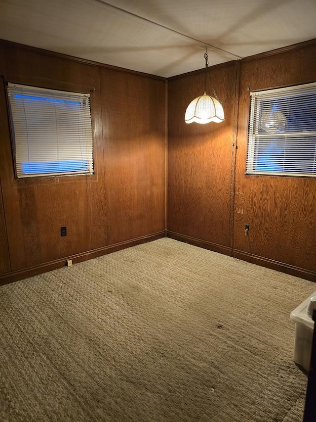 spare room with carpet flooring and wooden walls