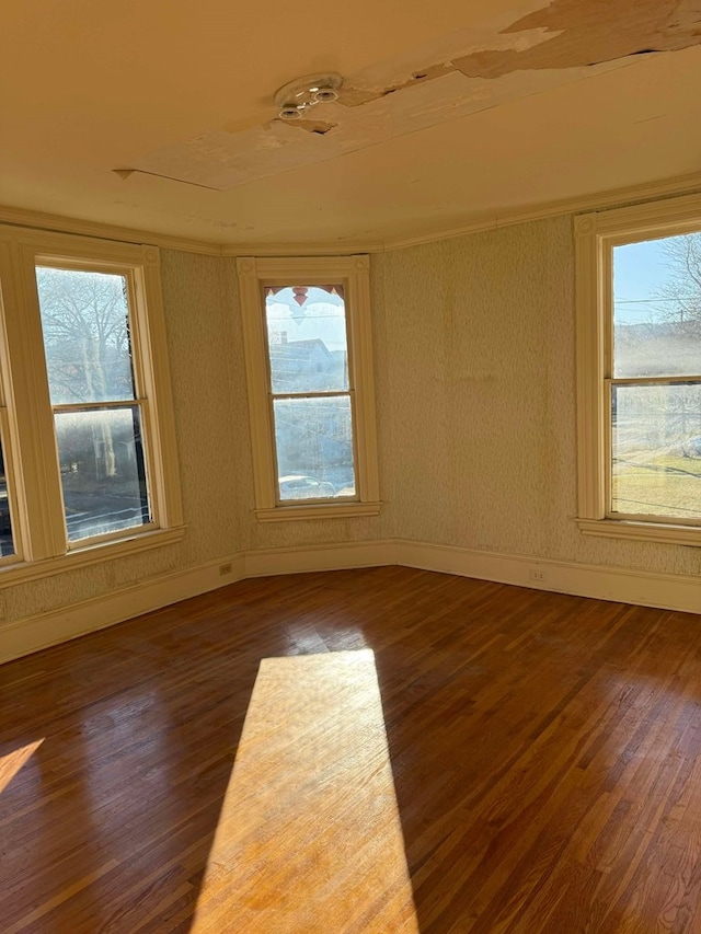 empty room featuring dark hardwood / wood-style floors and a healthy amount of sunlight