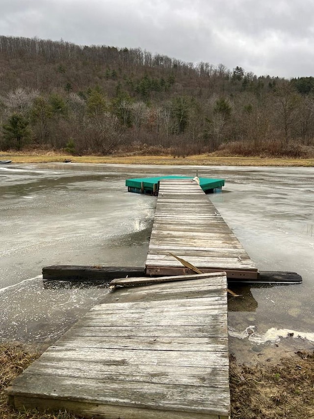 view of dock