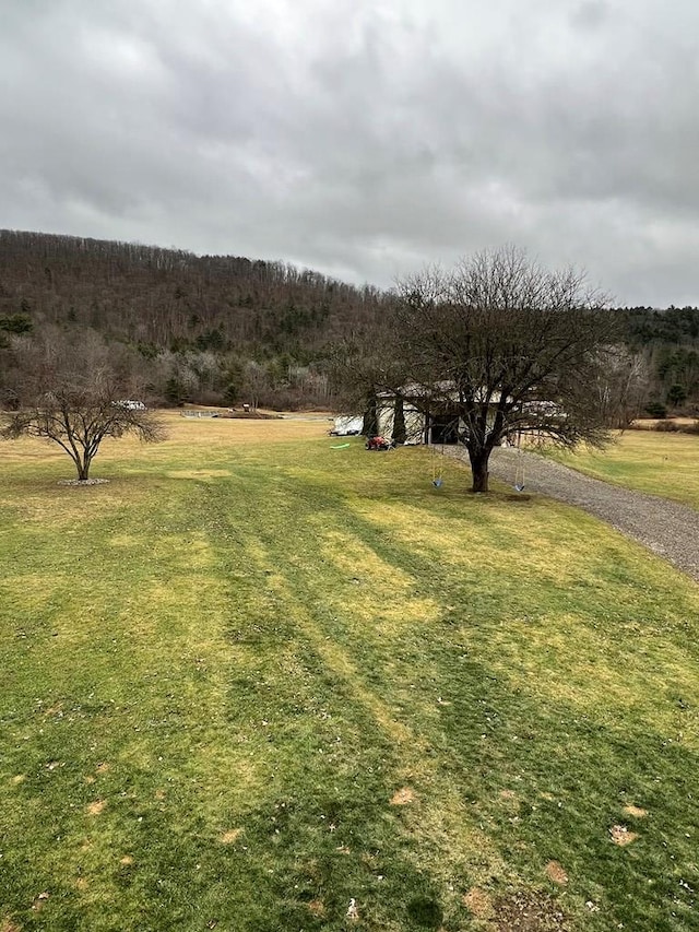 view of yard featuring a rural view